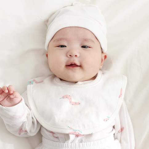 Soft Snakie Baby Reversible Bib